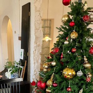 12月24日（12월 24일）-Cover IU/D.ear