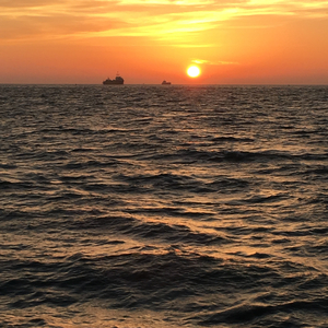 Immensurable Hide