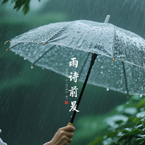 旧雨诗前尘