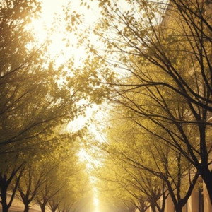 It's a Beautiful Day