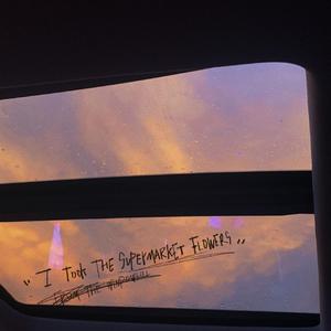 当你听到这首歌时我刚从你头顶飞过