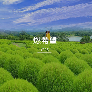 搏长空