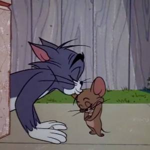 ㅤ ㅤㅤ ㅤㅤ ㅤㅤ ㅤ