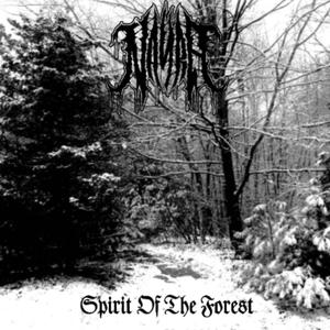 Spirit Of The Forest