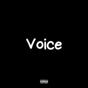 Voice