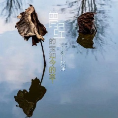 曾经的宝如今的草 (Live合唱版)