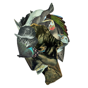 All Her Memories (feat. Tony Levin)