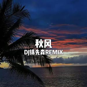 秋风（DJ锦先森 Remix）