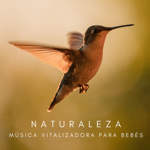 Tonos De La Mente Descansando