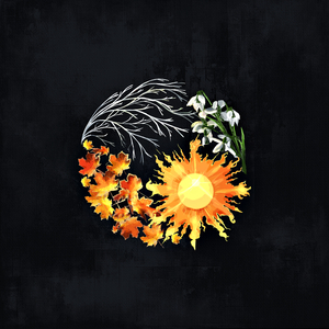 Моя любовь только о ней