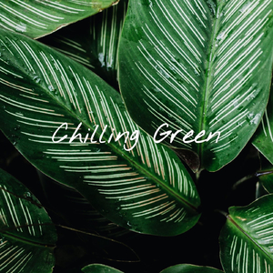 Chloroplast