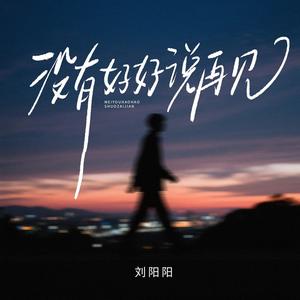 没有好好说再见 (伴奏)