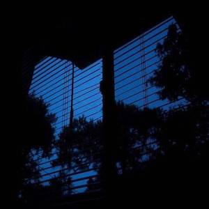 当月光洒进我的身体里