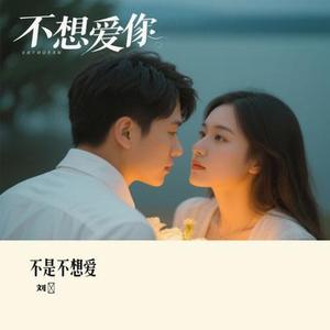 不是不想爱