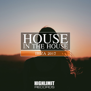 Trippin (Seal De Green Remix)
