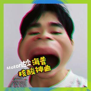 叮咚鸡 大狗叫(海普核酸神曲)