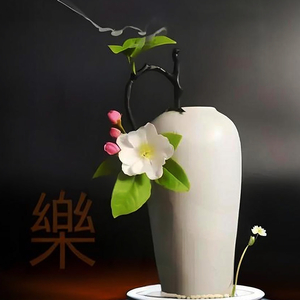 养心音乐 疏肝理气 中医养生音乐