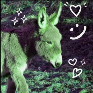 Inkipinkiponki (Infinite party version)