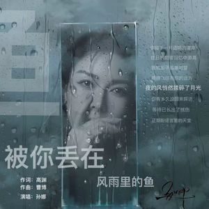 被你丢在风雨里的鱼