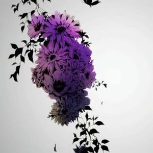 Starduster(vocal only)