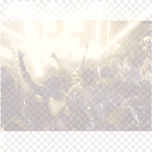 Dance Till You Drop at the Hardstyle Club