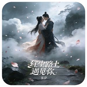 红尘路上遇见你