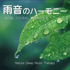 雨音 - 疲労困憊のあなたへ 深い眠りのための自然音BGM