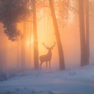 雨夹雪（Prod by RedRumMusic）