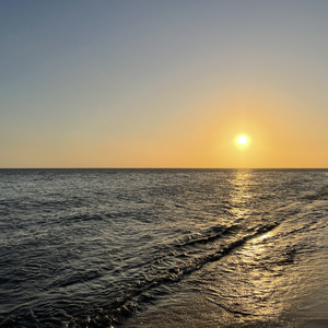 Our dream(我们的梦想)