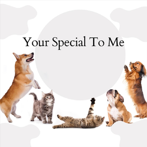 Your Special to Me