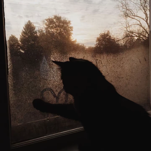 [Jerk]SASIOVERLXRD X Jerk Type beat - 逃避