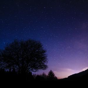 御魂引：月清明