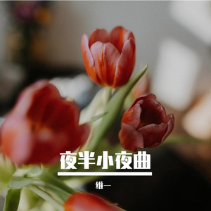 星夜悬月寄思念