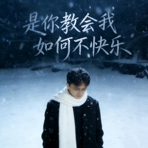 是你教会我如何熟练地不快乐