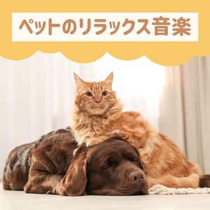 不安な気持ちの解消