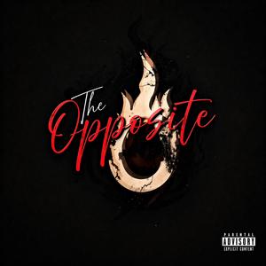 The Opposite