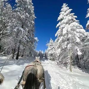 雪下整夜 Snowy all night