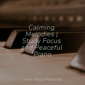 Enigma's Aerial Waltz