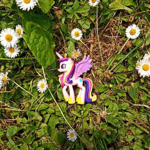 EVERYPONY SMILE! SMILE!! SMILE!!!