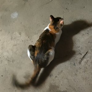 期盼（Prod by Lakewavebeatz）