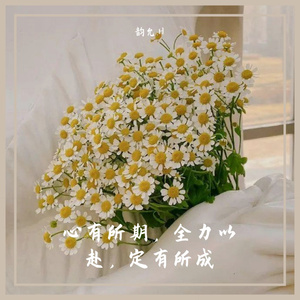 金玉良缘（cover付雪）