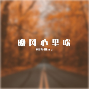 阿梨粤-晚风心里吹Bootleg（Tikin z remix）