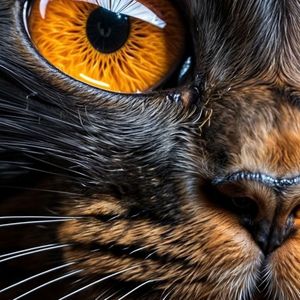 Way Down We Go Slowed