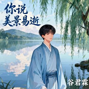你说美景易逝