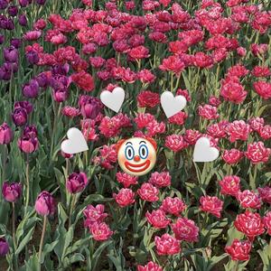 a trash love song (demo)