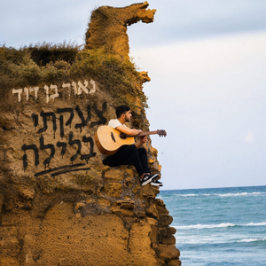 צעקתי בלילה קאבר