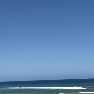 念旧的人最怕突然的问候