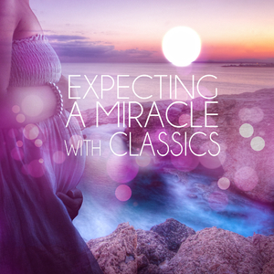 Violin Sonata No. 10 in B-Flat Major, K. 15: I. Andante maestoso