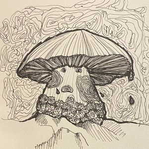 iwishihaveneverknownu