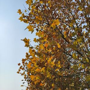 消逝在时光里的遗憾